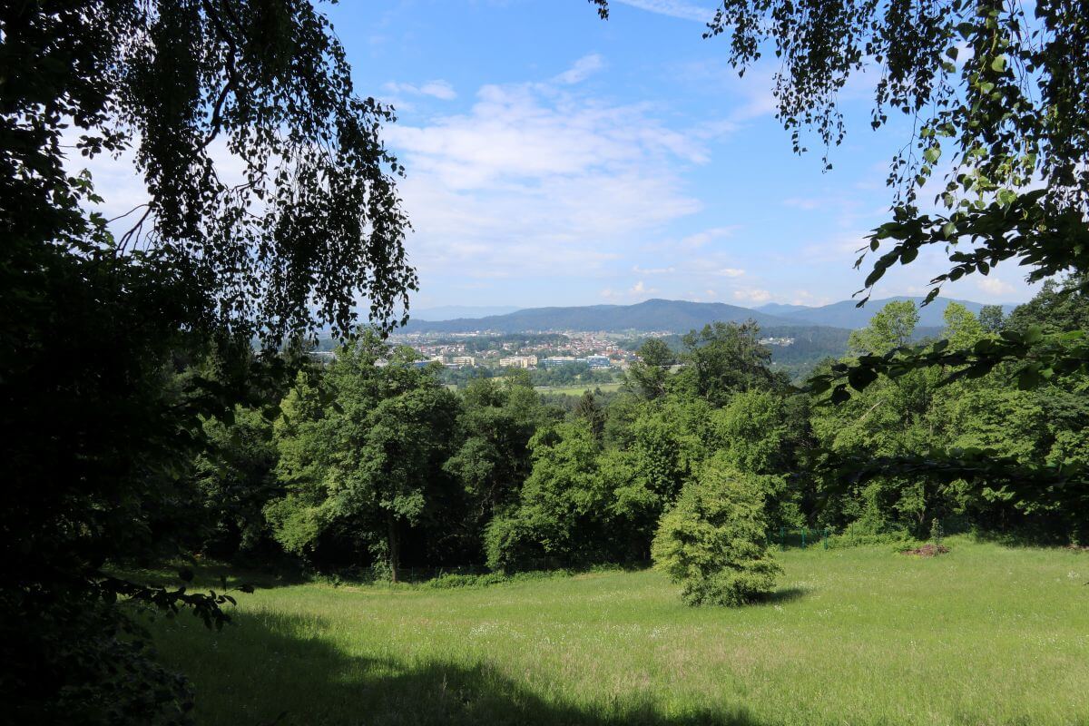 Pogled z Rožnika na Tehnološki park